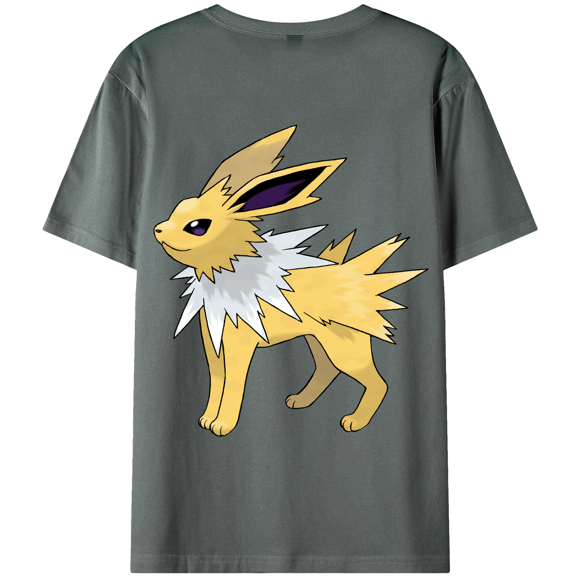 （画像用） ポケットモンスター Pokémon 綿100％ メンズ半袖Tシャツ（バックプリント） 通気性